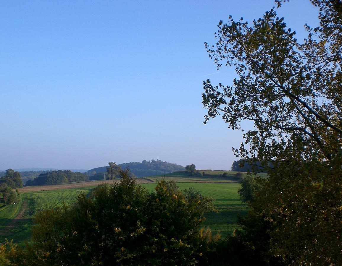 Hotel-Gasthof "Zum Bartl" Sulzbach-Rosenberg Buitenkant foto